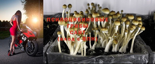 кокаин колумбия Бородино